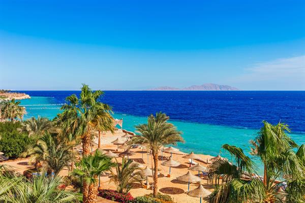 Roulette 4* Sharm El Sheikh 4*